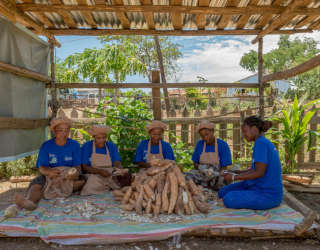 P4P-programmet på Madagaskar jobber for å øke småskalabønders muligheter og tilgang til markeder for jordbruk. Foto: WFP/Giulio d'Adamo