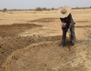 Medlemmer av et lokalt WFP-program graver nedbørsfelt formet som halvmåner. Foto: WFP/Mariama Ali Souley