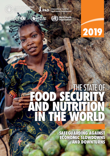 2019 - Statusrapport for matsikkerhet og ernæring i verden (SOFI): Beskyttelse mot økonomisk nedgang