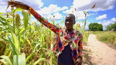 Bønder kommer sulten i forkjøpet mens ekstremværet herjer i det sørlige Afrika