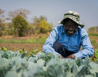 Kakhobwes vanningssystem som er finansiert av DFID i Malawi. Foto: WFP/Badre Bahaji