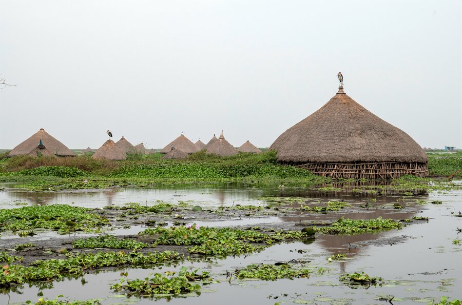 Flooded homes in South Sudan, which is also grappling with devastating drought in some places. Photo: WFP/Alessandro Abbonizio