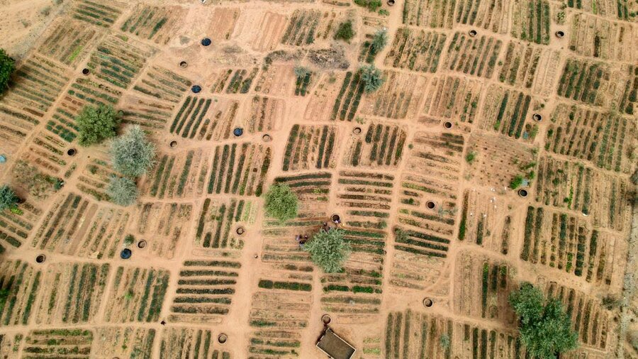 An aerial view of WFP-supported community gardens in Niger's Tillaberi region, which are part of a broader, multi-partner Sahel resilience initiative. Photo: WFP/Souleymane Ag Anara