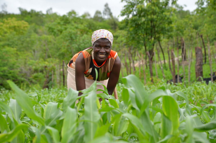 A woman farmer in Mudzi, Zimbabwe, where WFP rolled out its first early action programme in southern Africa. Photo: WFP/Tatenda Macheka