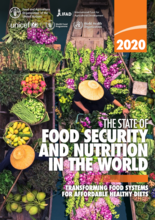 Statusrapport for matsikkerhet og ernæring i verden (SOFI) 2020